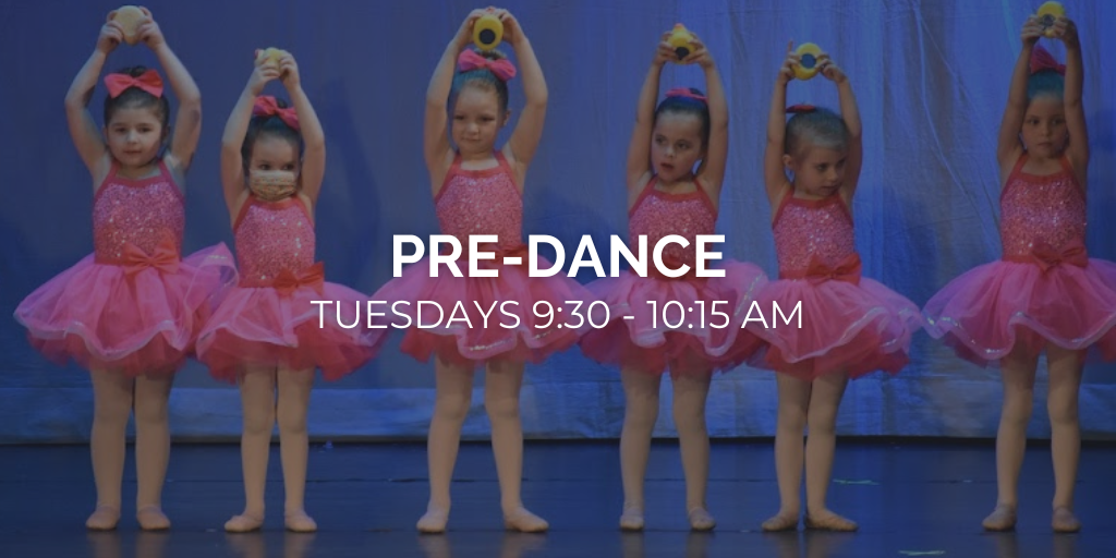 CHESTER VALLEY DANCE ACADEMY, LLC Dance training for all ages in the